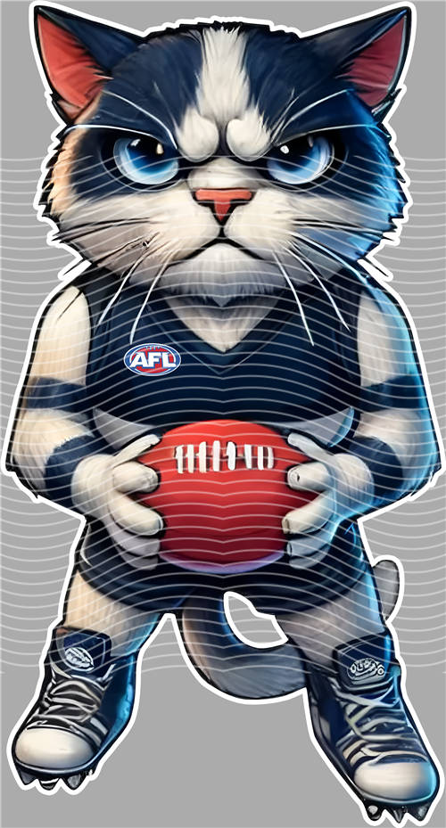 NBA and Team-QD 1411